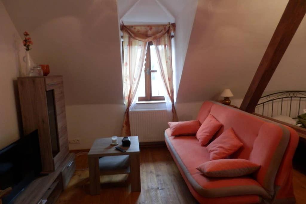 Zamecek Zdiky - Moderni Velky Apartman Bujanov 外观 照片